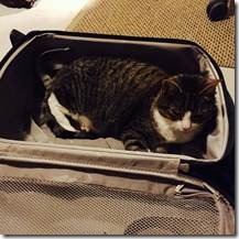 clip_image247 clip_image247